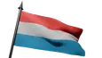 Flag Icon