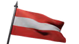 Flag Icon