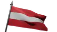 Flag Icon