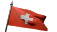 Flag Icon