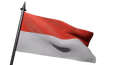 Flag Icon