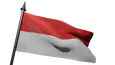 Flag Icon