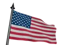 Flag Icon