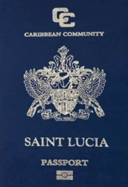 program document