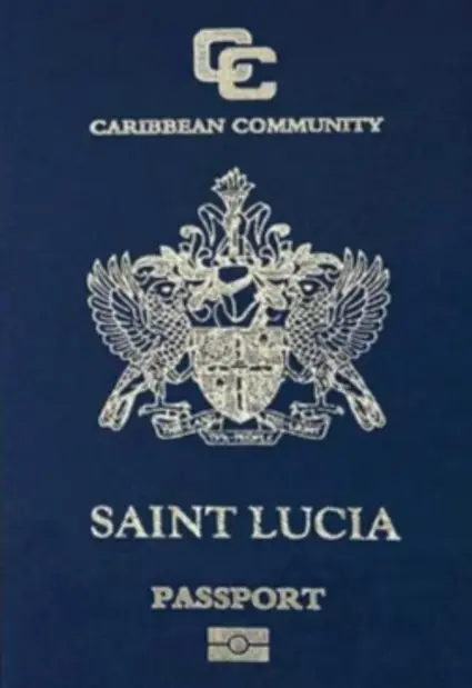 program document