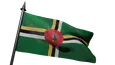 Flag Icon
