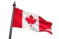 Flag Icon