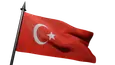 Flag Icon