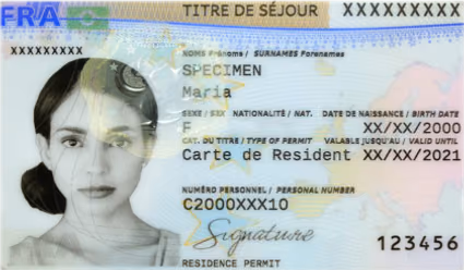 program document