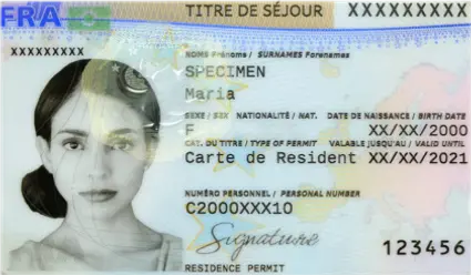 program document