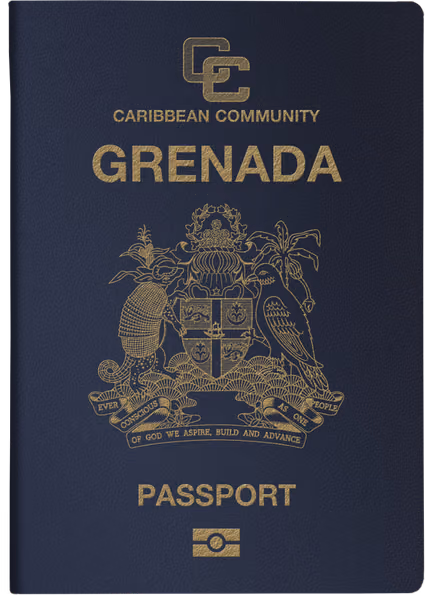 program document