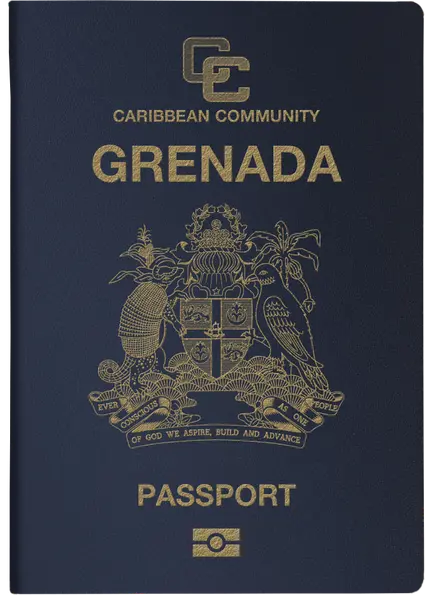 program document
