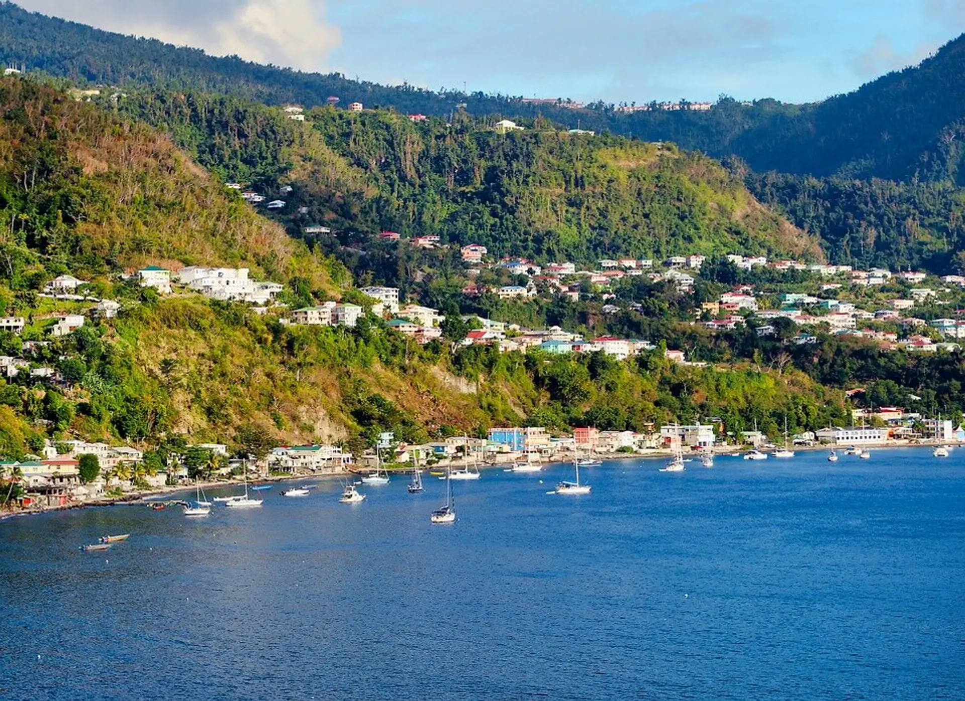 Dominica Citizenship for a Businessman from Pakistan