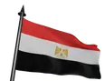 Flag Icon