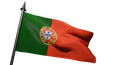 Flag Icon
