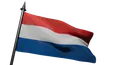 Flag Icon