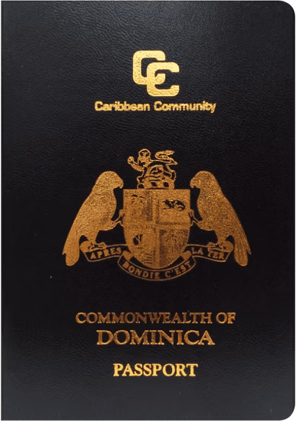 program document