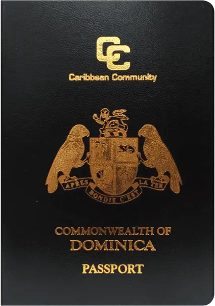program document