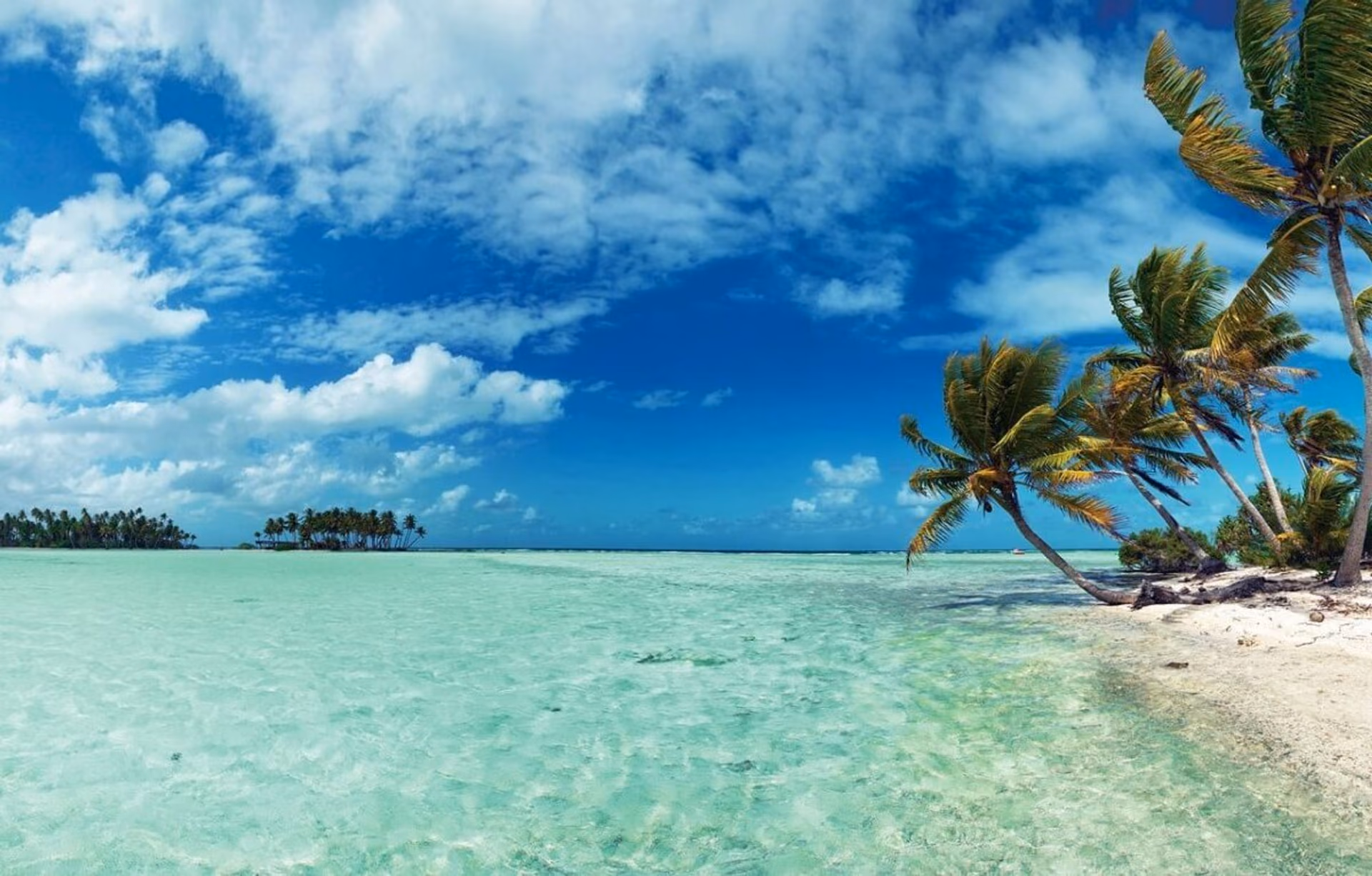 Dominica Passport for Entrepreneurs