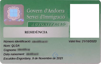 program document