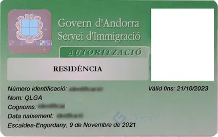 program document