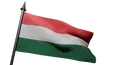 Flag Icon