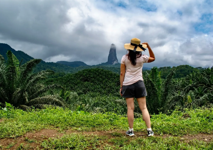 $Guide to Obtaining Citizenship of São Tomé and Príncipe on table