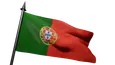 Flag Icon