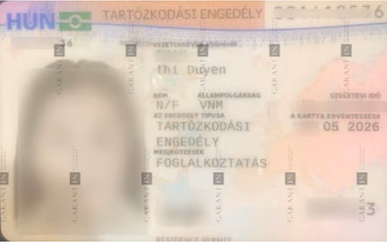 program document
