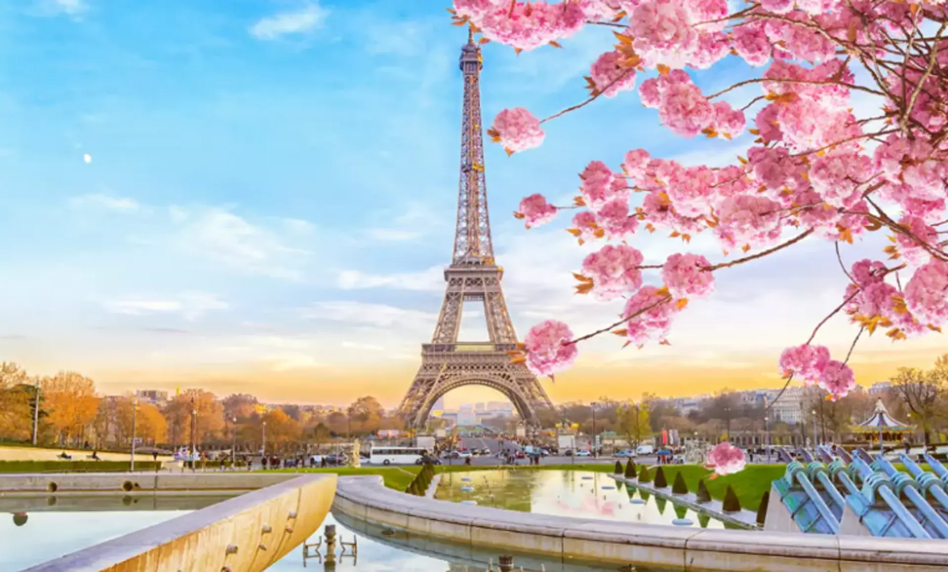 Visa D “Visitor” and French Residence Card for a Wealthy Indian Citizen