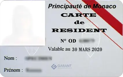 program document