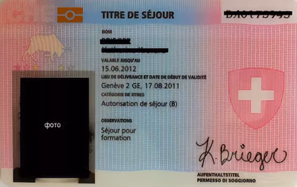 program document