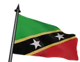 Flag Icon