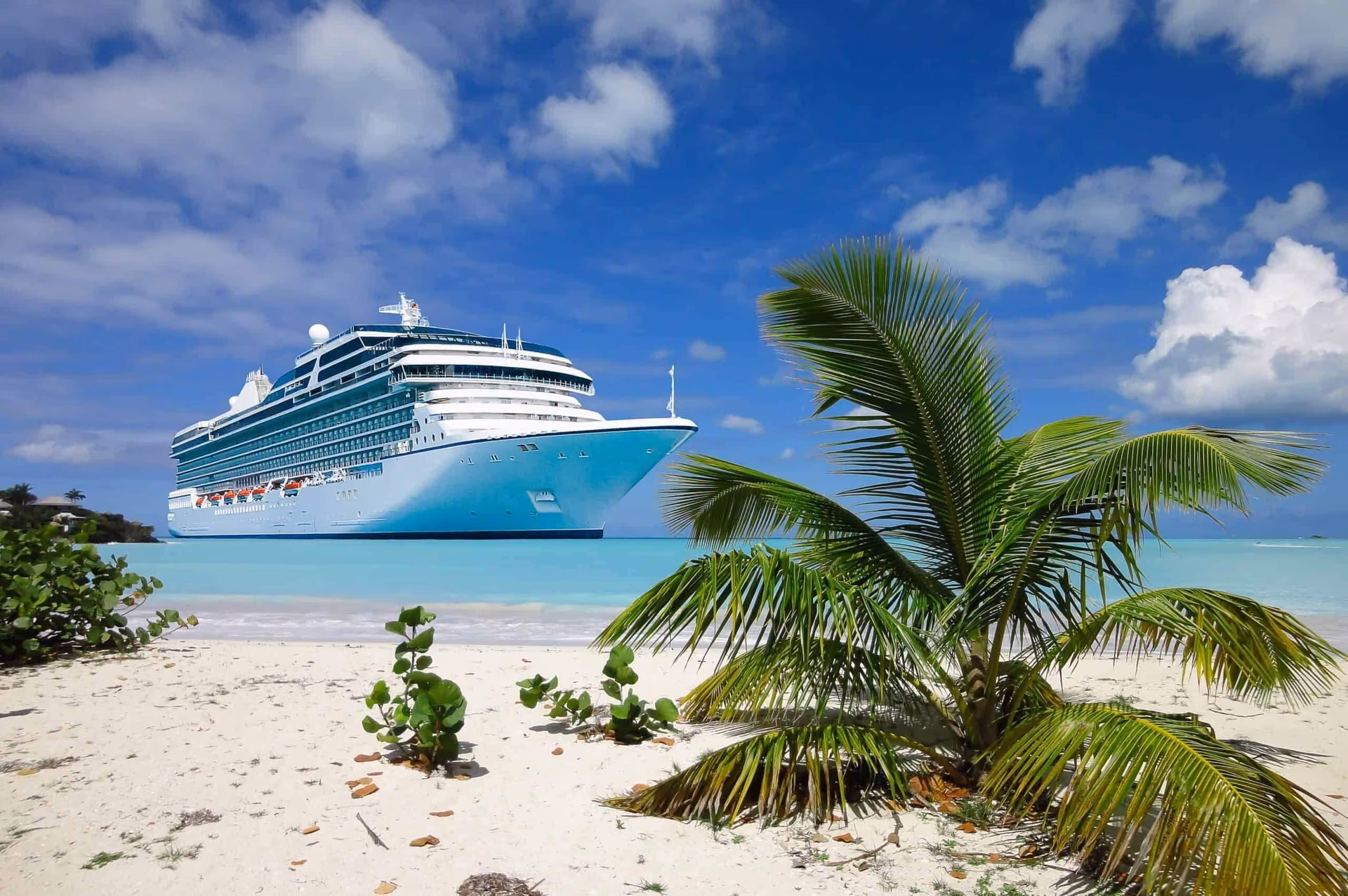 Antigua and Barbuda Citizenship: A Case Study of an Entrepreneur from Uzbekistan