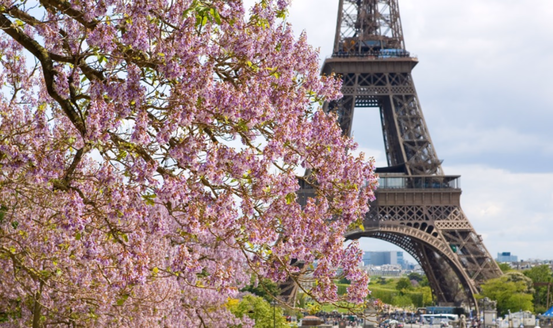 French residence permit with no residency requirements