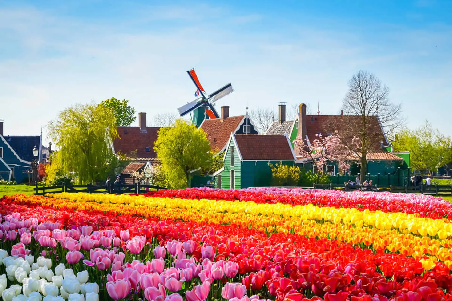 Top 5 Places to Visit in the Netherlands