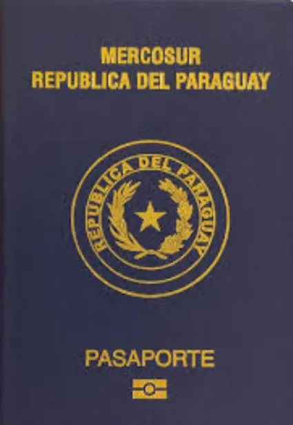 program document