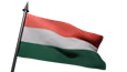 Flag Icon