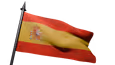 Flag Icon